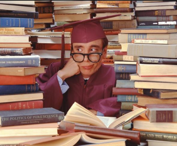 Manuais de Puericultura - o normal e o patológico na relação mãe-bebê