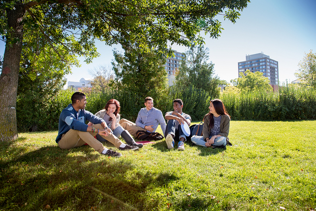 Estudiar mi carrera profesional