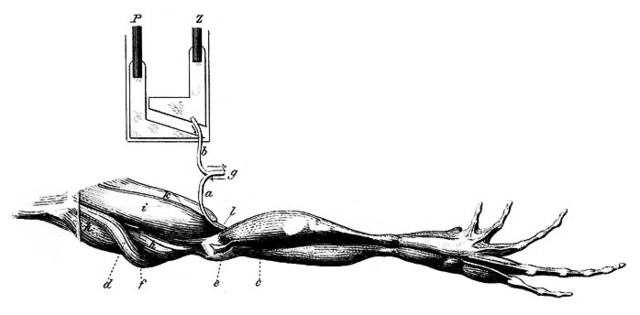 1843-Emil Dubois-Reymond