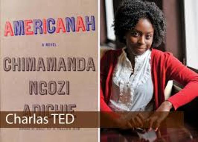 El peligro de una historia unica