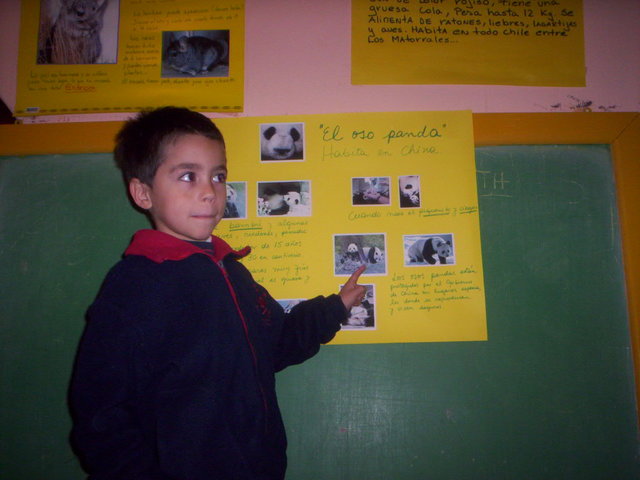 mi primera expocicion