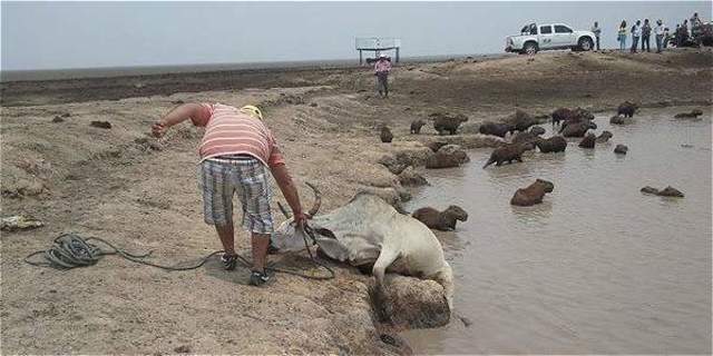 EL NIÑO COMIENZA A DEBILITARSE
