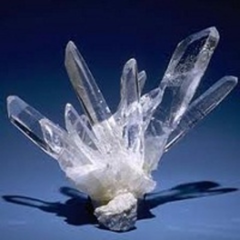 Francisco Flores Domonte.