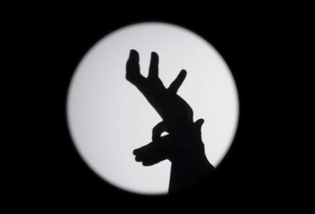 OMBRES CHINOISES Á IRUÑA