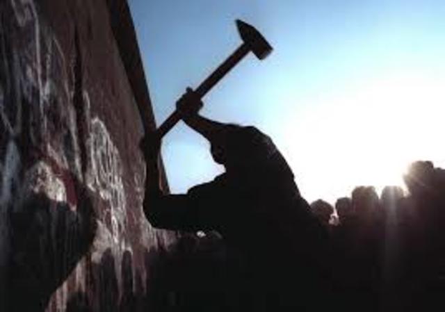 Fall of the Berlin Wall