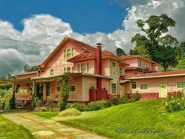 WALTER ARDON  RENATA