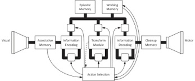 Complete human brain simulation