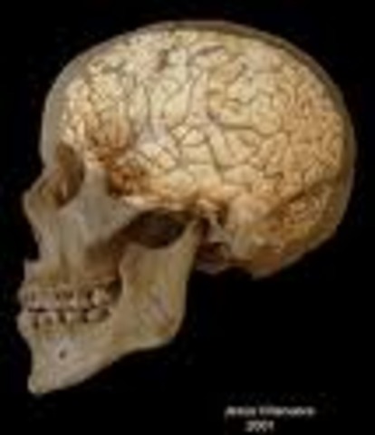 Avances significativos