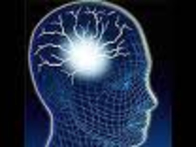 1er Grado Profesional