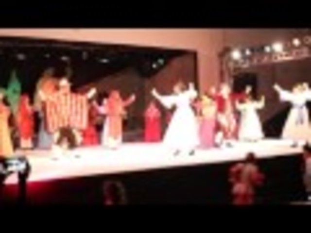 Intercambio cultural