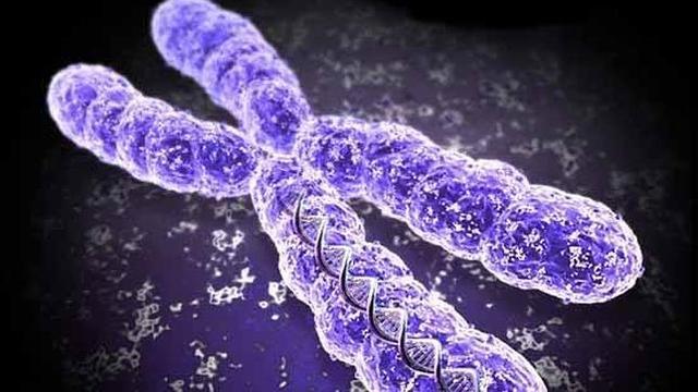las unidades fundamentales de la herencia biológica reciben el nombre de genes.