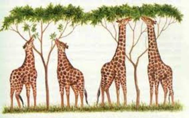 Darwin hace pública su teoría sobre la evolución de las especies.