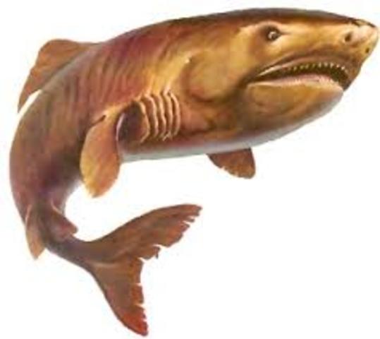 500 millones de años