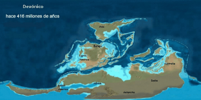 "Devonico" (416 millones de años aproximadamente)