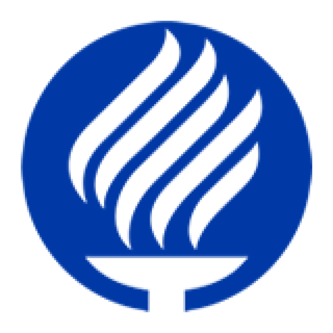 Inicio de Carrera Profesional - IIS