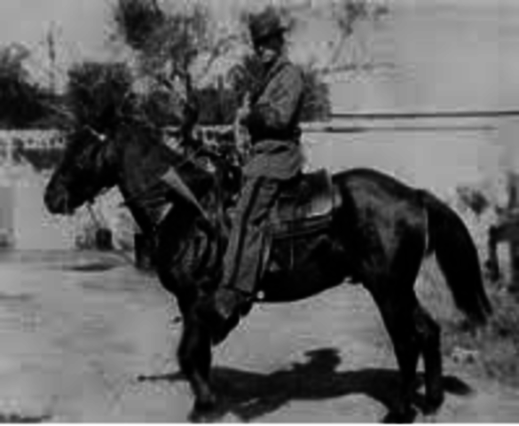 Mounted Inspectors Along U.S.-Mexico Border