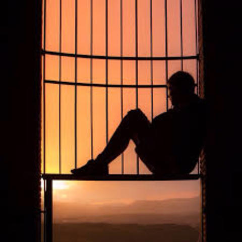 Culminación del año académico