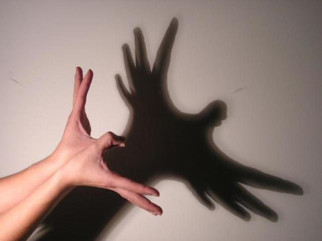 Ombres chinoises à Iruña