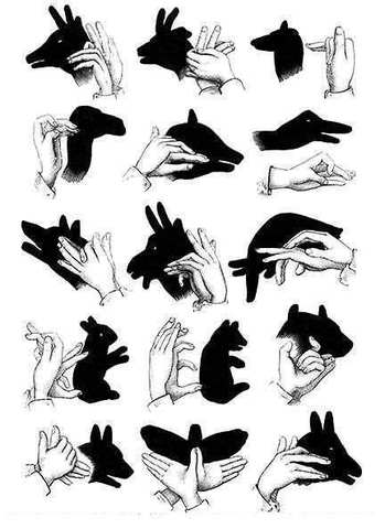 Reproduction D`e ombres Chinoises Á Iruña