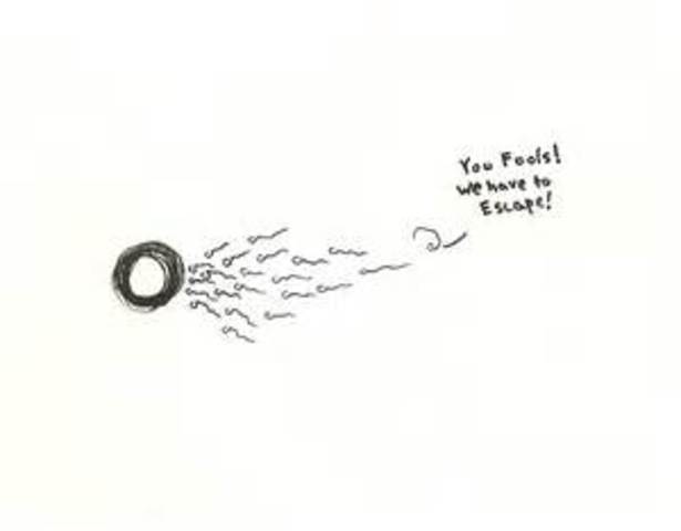 Fertilization- week 2