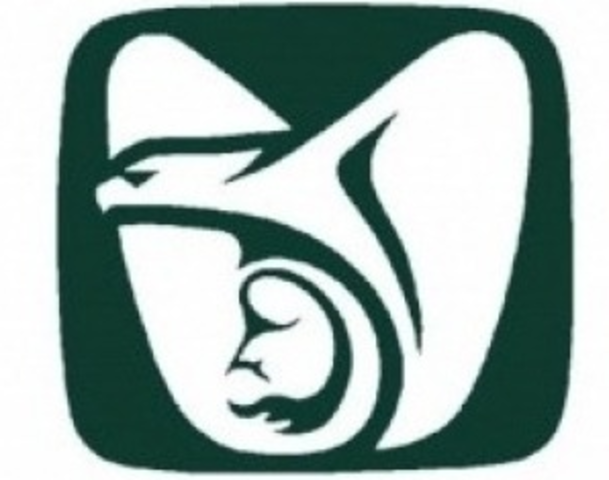 Fundacion del IMSS