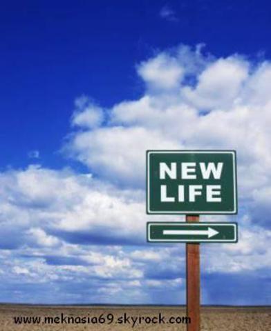 Nueva vida