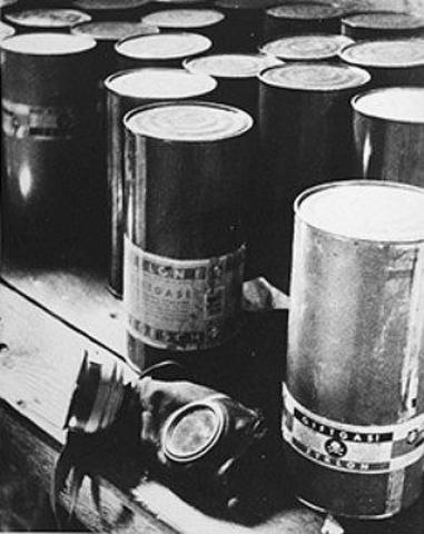 Zyklon-B Use Started