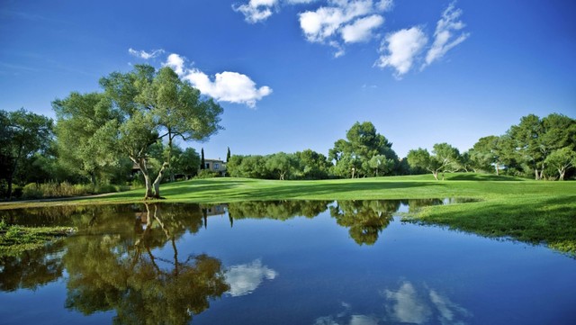 San Mateo Atenco timeline | Timetoast timelines