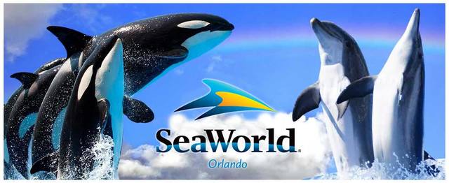 visite sea world