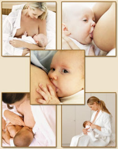 Puericultura é reconhecida