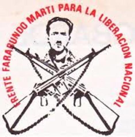 Frente Farabundo Martí para la Liberación Nacional (FMLN),