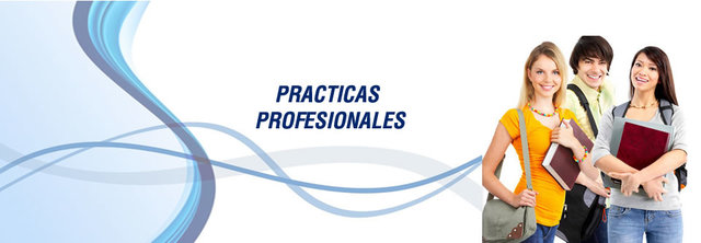 Practicas profesionales
