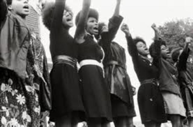Creation of the Black Panthers