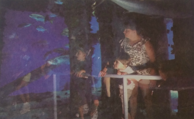 Aquarium celebrates its 15 year anniversary