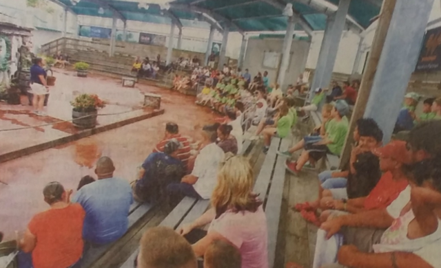 Aquarium celebrates its 20 year anniversary