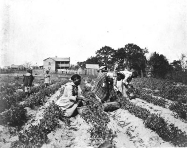 Sharecropping