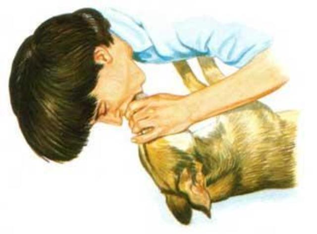 Galeano fue el primero en descubrir la respiración artificial