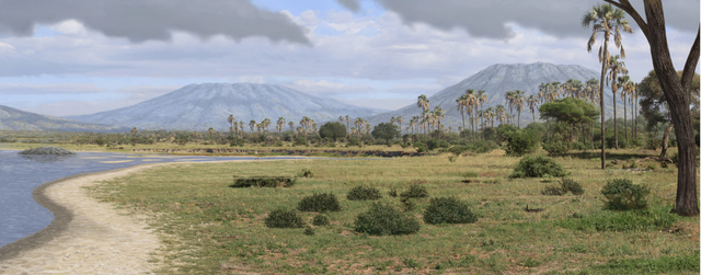 Tertiary Period - Climate