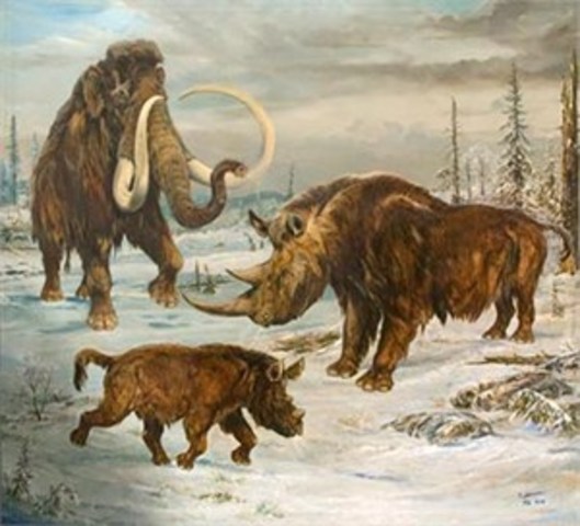 Quaternary Period - Biodiversity