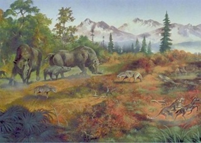 Quaternary Period - Climate