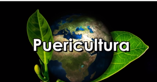 VIDEO - O QUE É A PUERICULTURA?