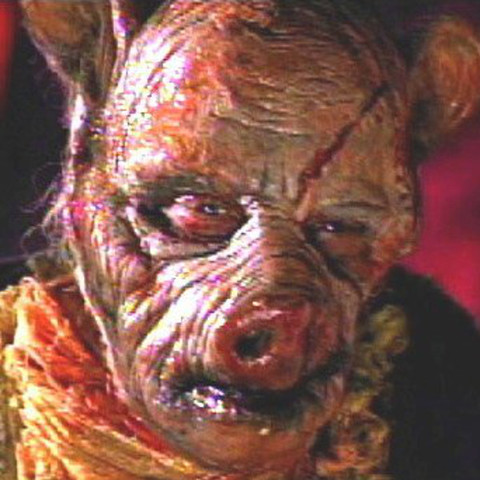 Lets build a raft/ Hyena-swine