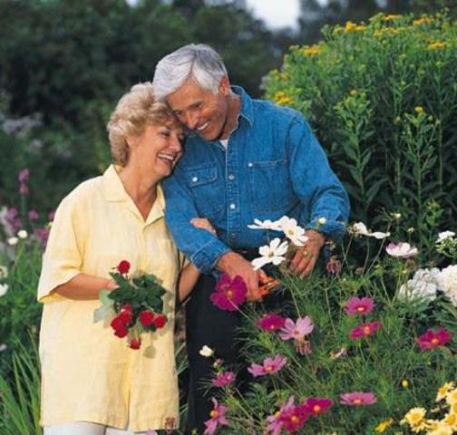 Pensiones de Jubilación