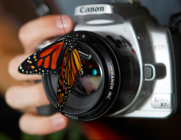 Estudiar fotografía