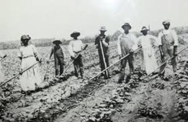 Sharecropping