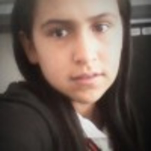 creacion de linea de tiempo