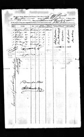 Reporting Immigration