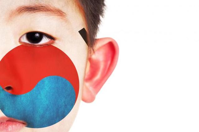 Comparação com as Políticas de Outros países: Coréia do Sul