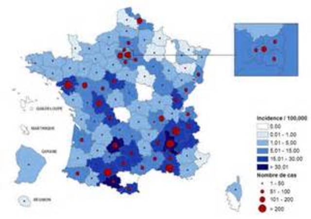 Measles in France