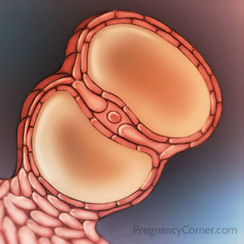 Week Three Developments